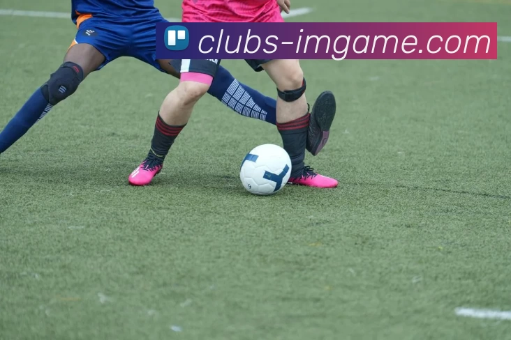 IM体育官网APP 高清赛事图